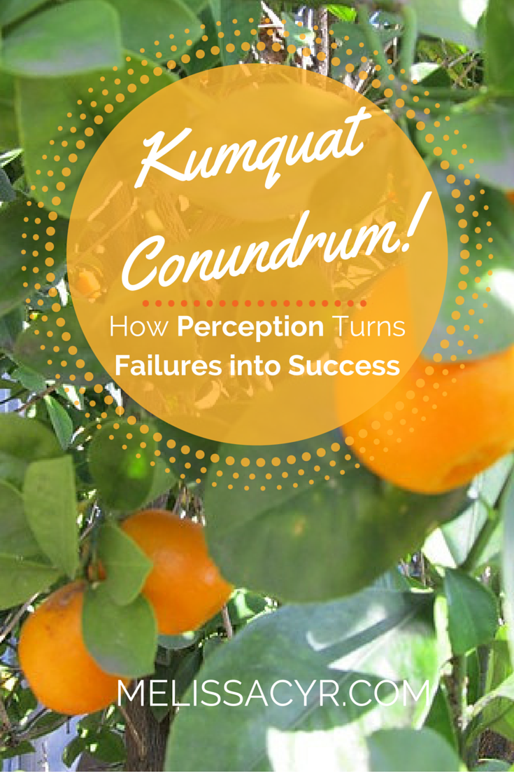 Kumquat conundrum turn failures into success