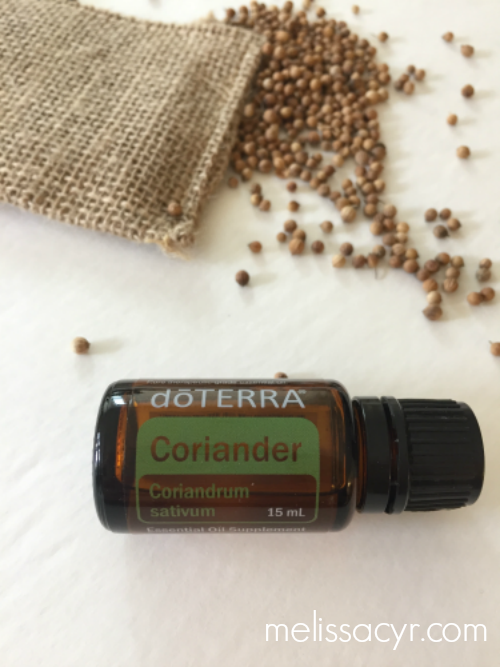 coriander essential oil blog