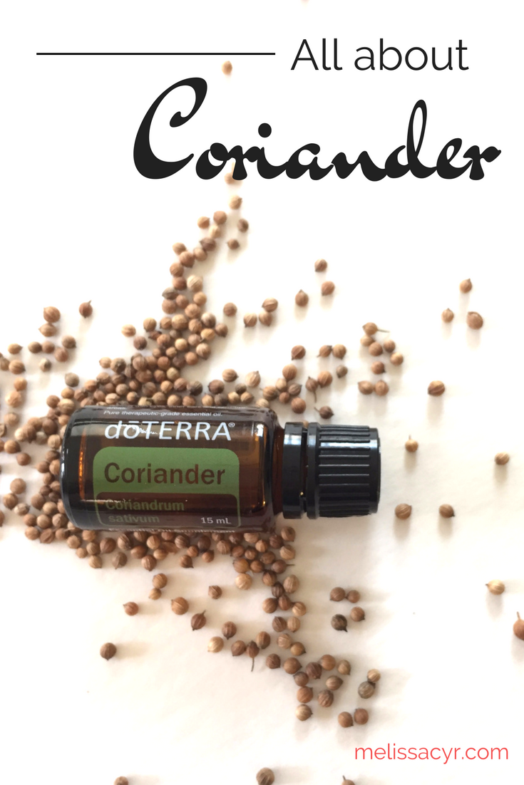 coriander oil pinterest